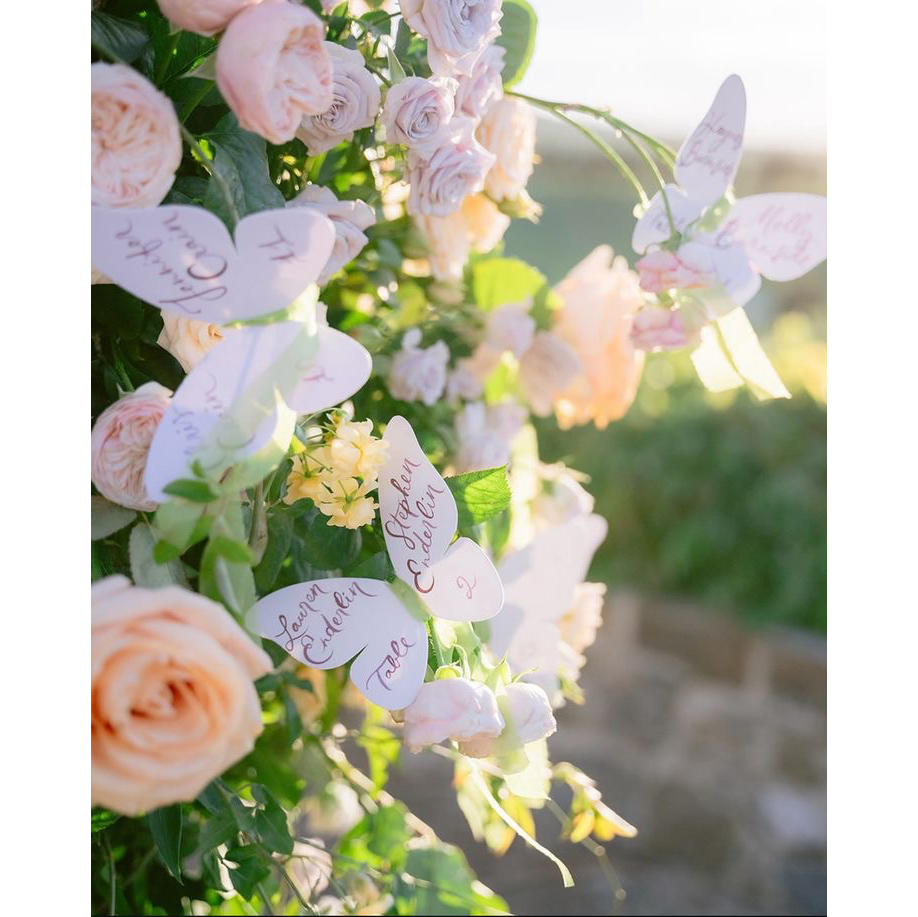 Custom Elegant Butterfly Menu  - огляд і ціна Wedding Supply Business